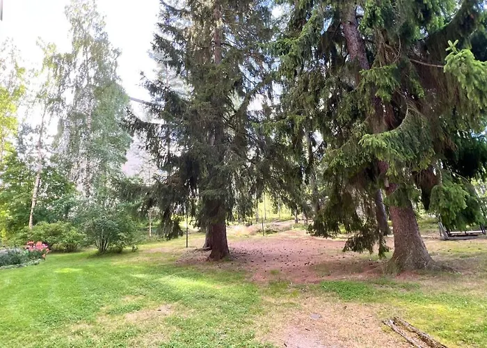 Piknik - 2